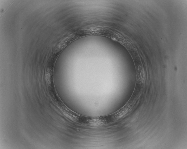 X0000073710562200608311757