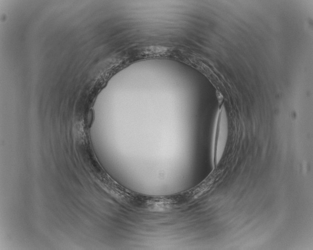 X0000073710564200608311757