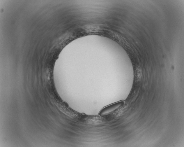 X0000073710567200608311757