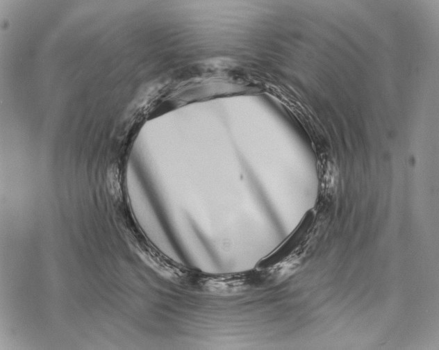 X0000073710568200608311757