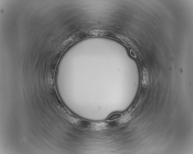 X0000073710569200608311757