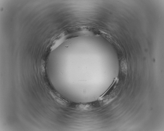 X0000073710570200608311757