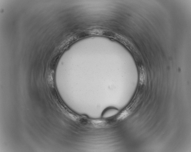 X0000073710573200608311757