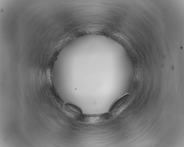 X0000073710575200608311757