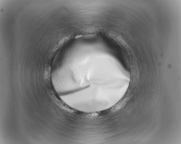 X0000073710576200608311757