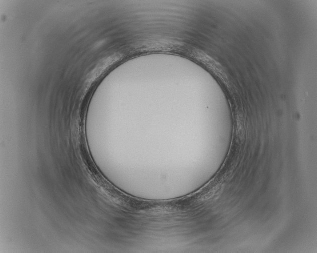 X0000073710578200608311757