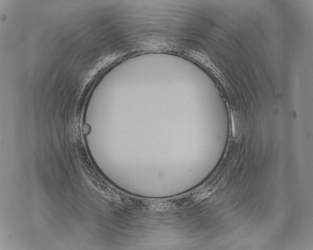 X0000073710579200608311757