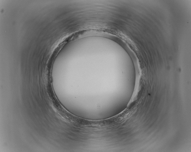 X0000073710580200608311757