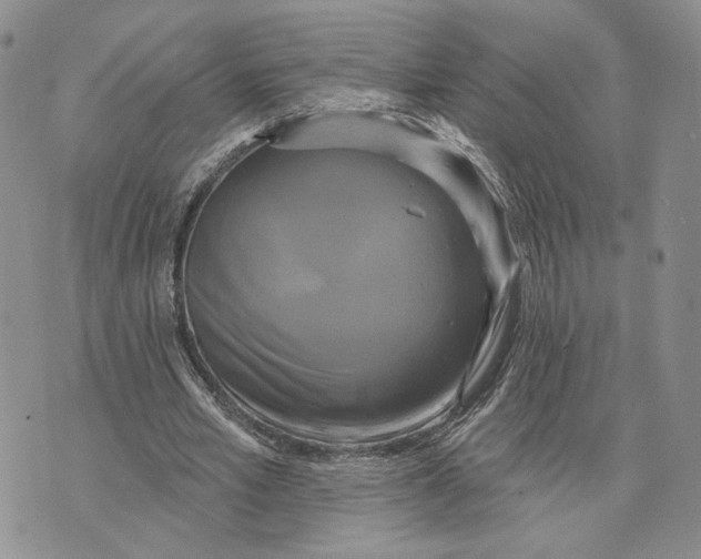 X0000073710581200608311757