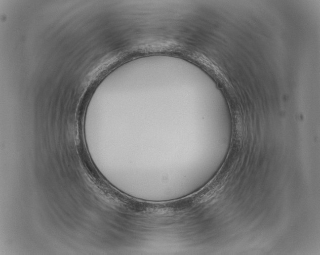 X0000073710582200608311757