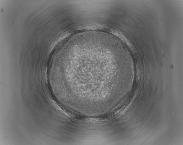 X0000073710585200608311757