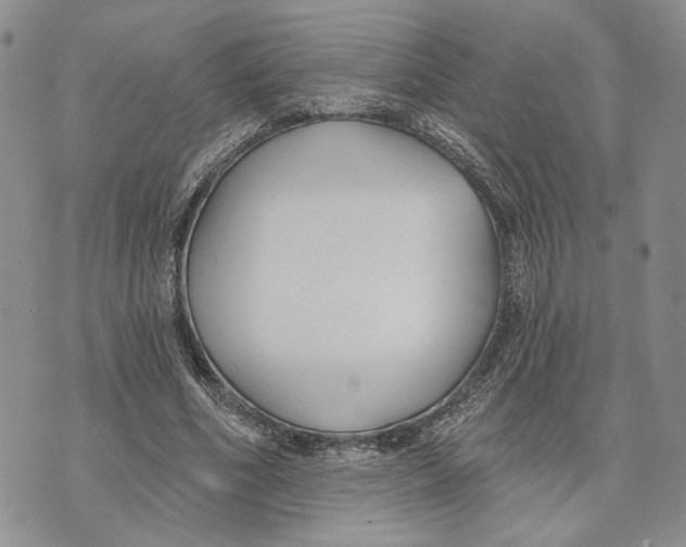 X0000073710586200608311757