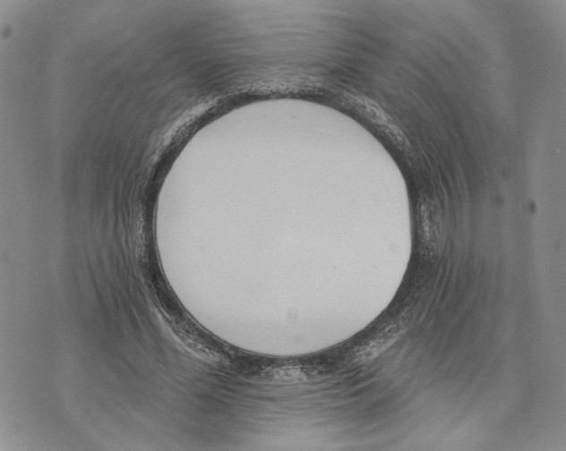 X0000073710588200608311756