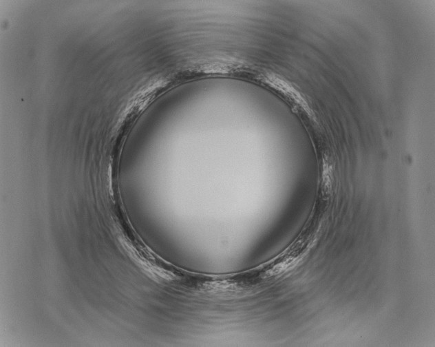 X0000073710589200608311756