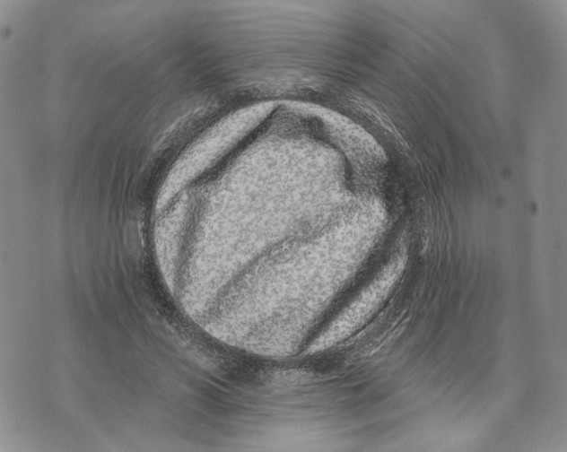 X0000073710590200608311756