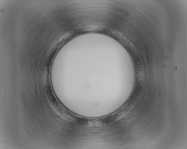 X0000073710591200608311756