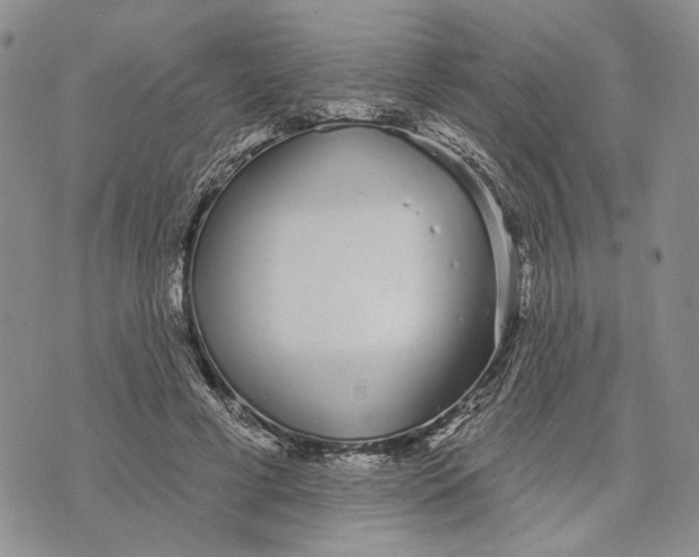 X0000073710593200608311756