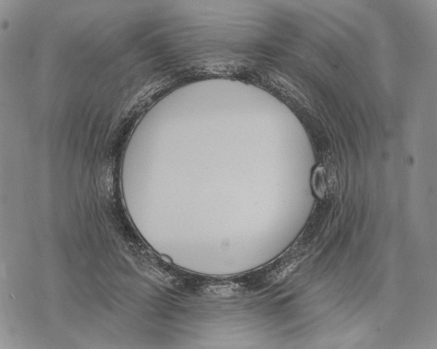 X0000073710595200608311756