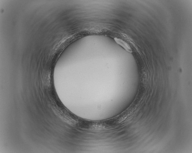 X0000073710596200608311756