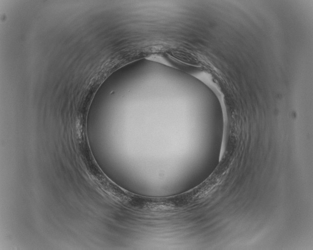 X0000073710597200608311756