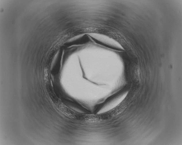 X0000073710598200608311756