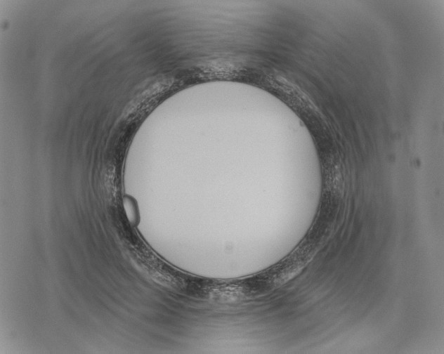 X0000073710599200608311756