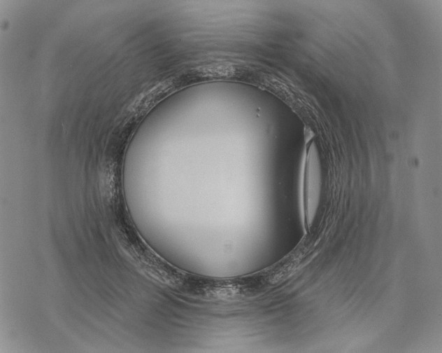 X0000073710600200608311756