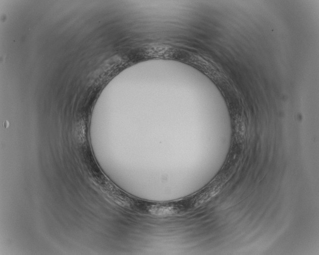 X0000073710602200608311756