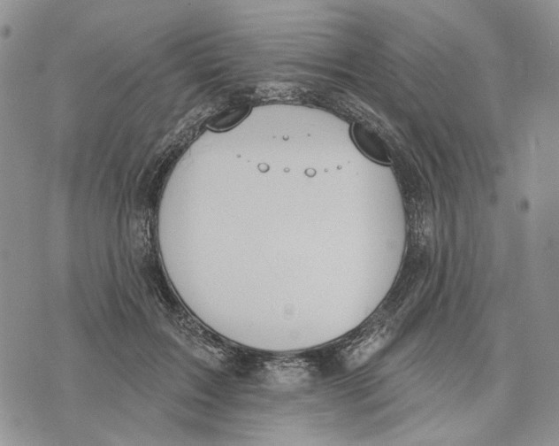 X0000073710603200608311756