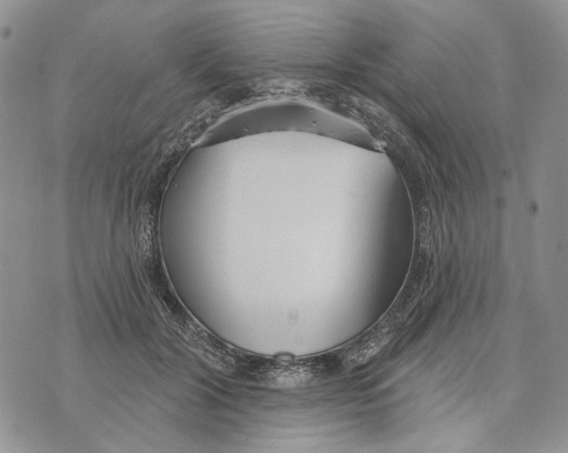 X0000073710604200608311756