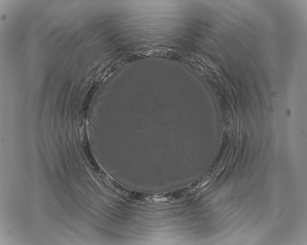 X0000073710607200608311756