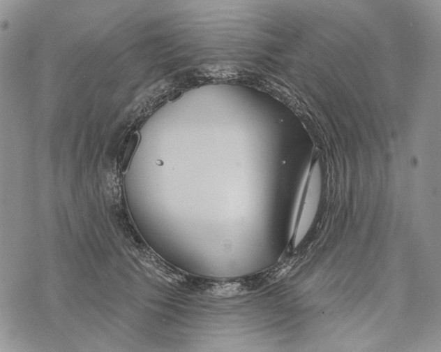 X0000073710609200608311756