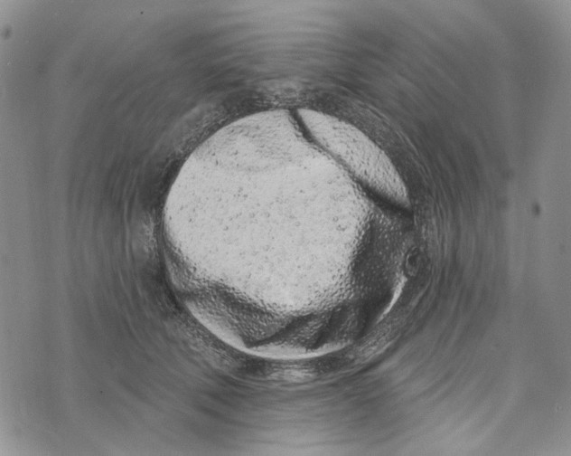 X0000073710610200608311756