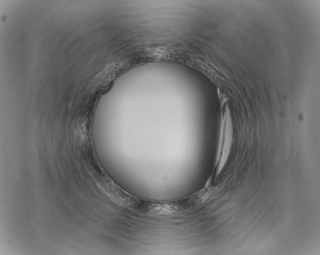 X0000073710611200608311756