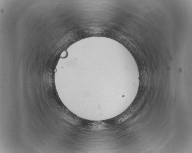 X0000073710612200608311756