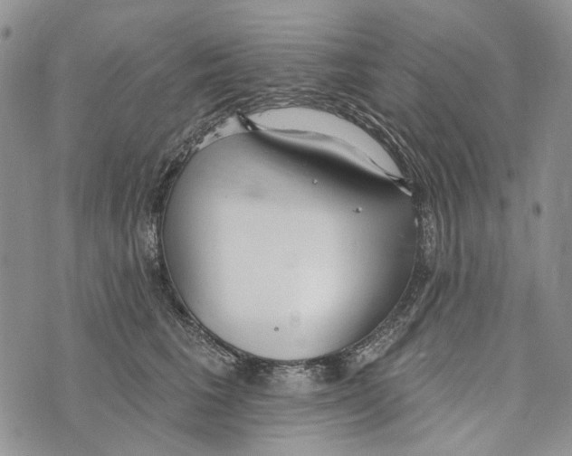 X0000073710613200608311756