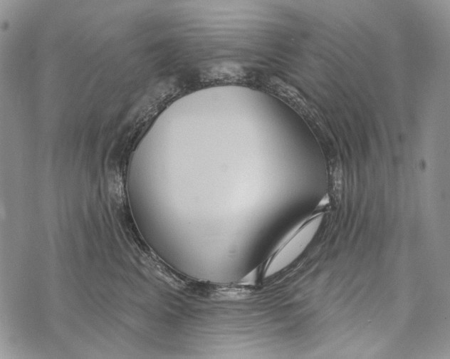 X0000073710617200608311756