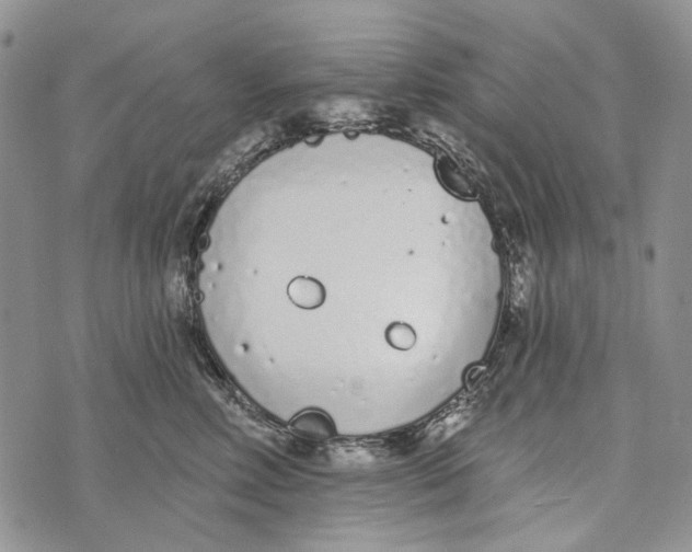 X0000073710618200608311756