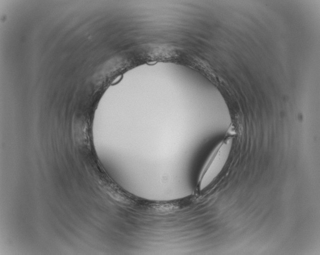 X0000073710619200608311756