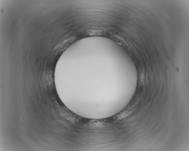 X0000073710620200608311756