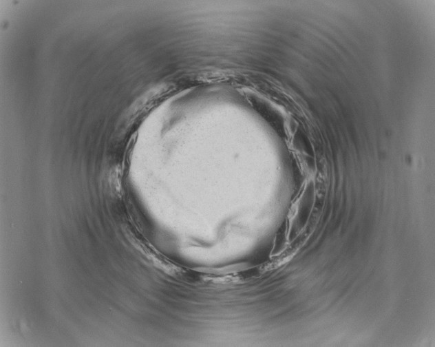 X0000073710621200608311756