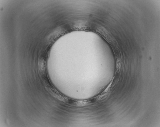 X0000073710623200608311756