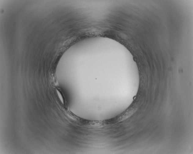 X0000073710624200608311756