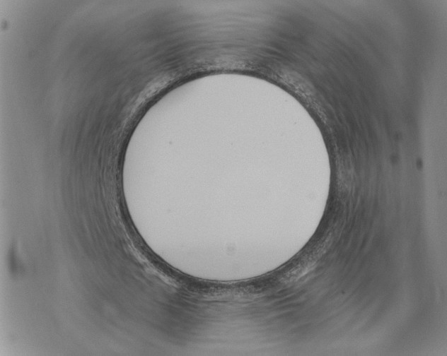 X0000073710625200608311755