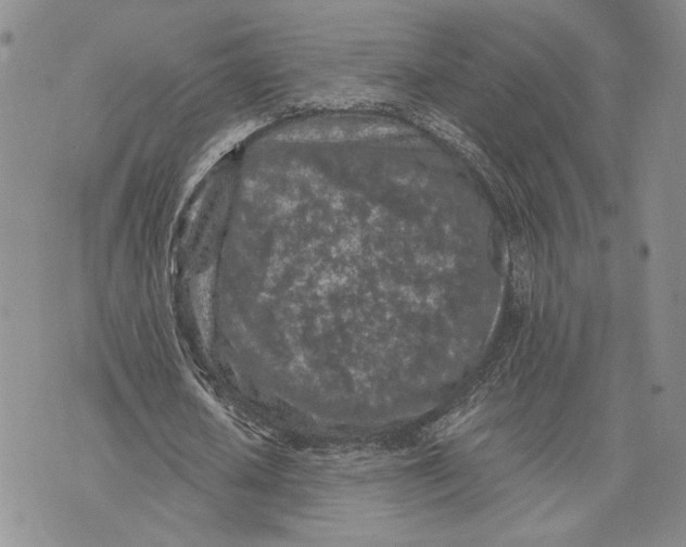 X0000073710626200608311755