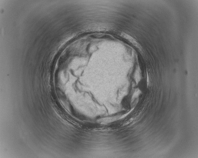 X0000073710627200608311755