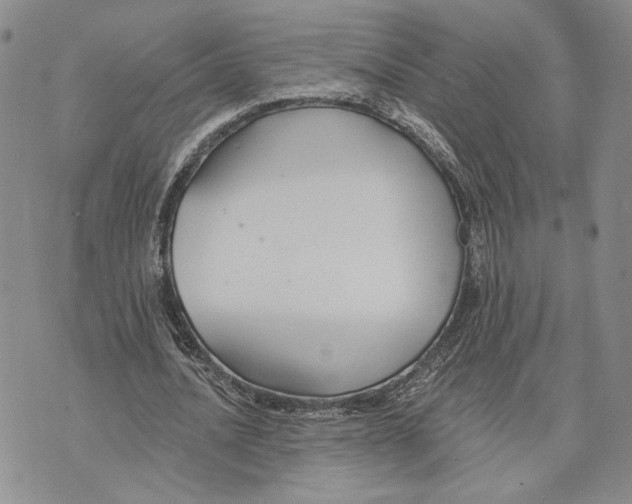 X0000073710628200608311755