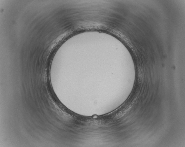 X0000073710629200608311755