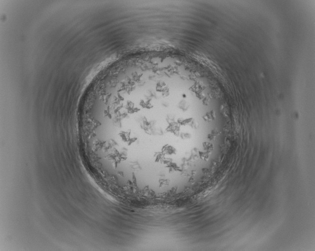 X0000073710630200608311755