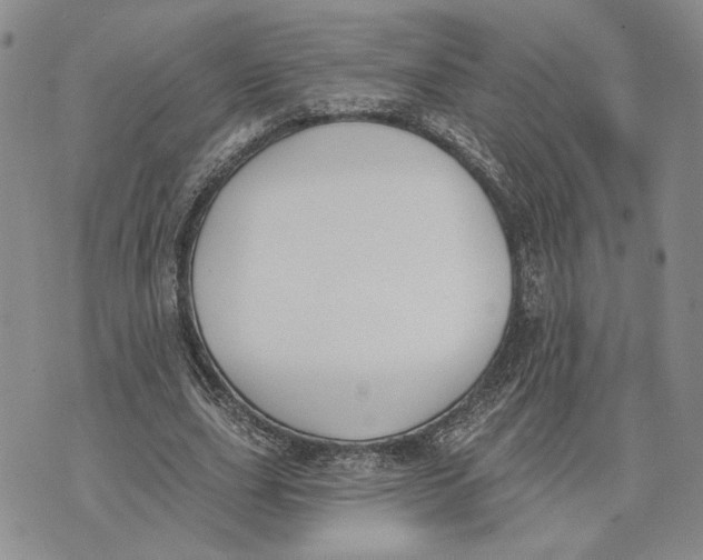 X0000073710631200608311755